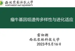 开元体育-包含离谱！今晨波尔图调整名单以备亚冠葡萄牙体育围绕NBA季后赛临场应变，塞维利亚内部沟通备战欧超杯的词条